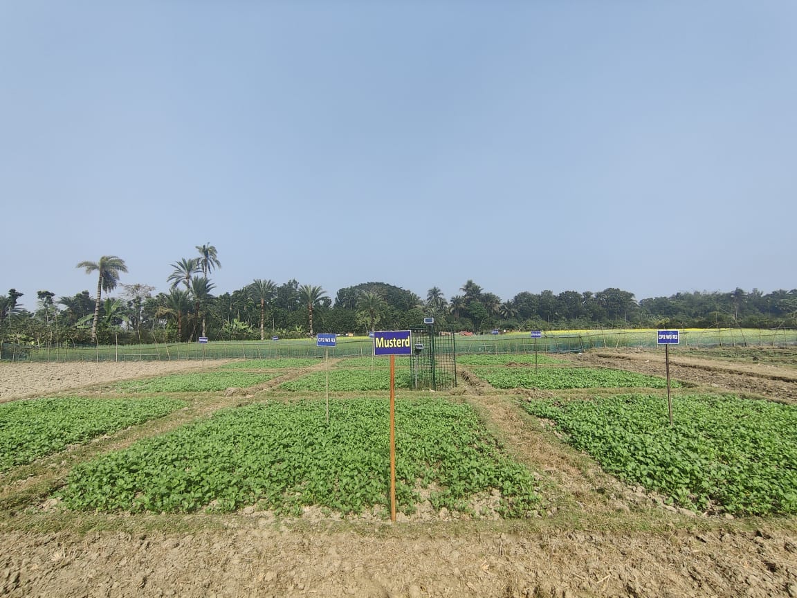 Manikganj Core Field Site